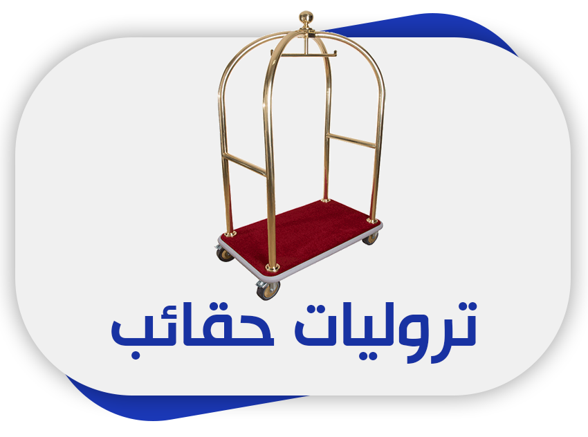 حقائب